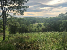 Load image into Gallery viewer, Bed & Breakfast