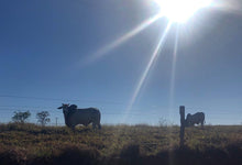 Load image into Gallery viewer, Bed & Breakfast