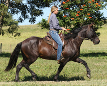 Load image into Gallery viewer, Bed & Breakfast