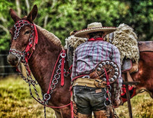 Load image into Gallery viewer, Bed & Breakfast